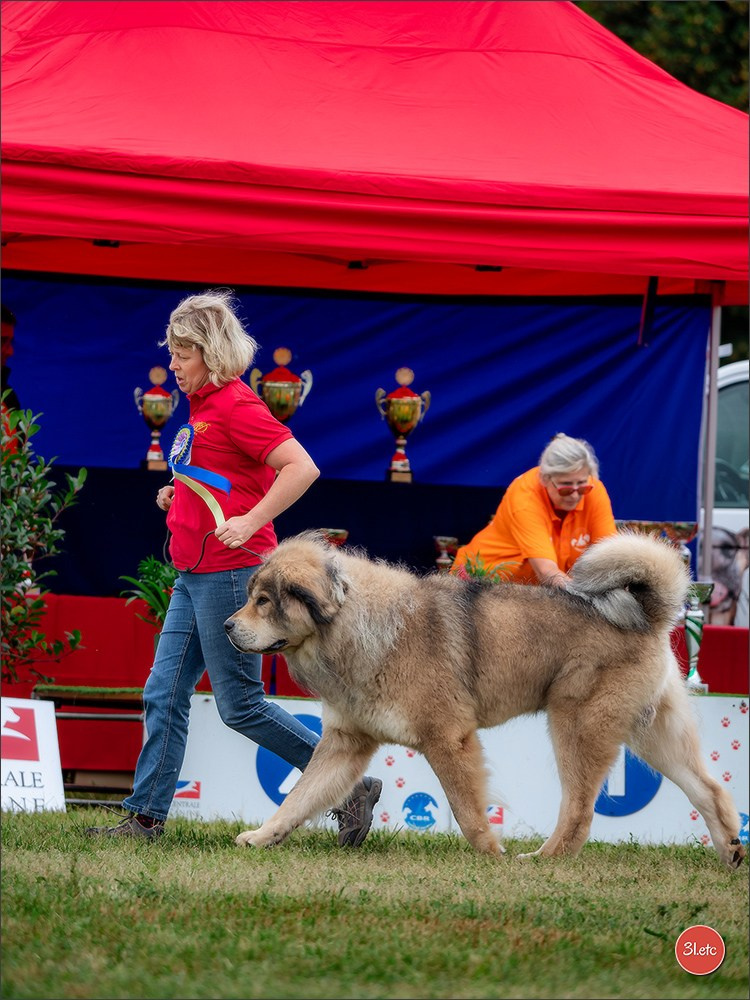 Exposition Canine à STRASBOURG-HOERDT Dimanche 18 août 2024. Photographe à Strasbourg | Portraits, Studio, Enfants, Événements
