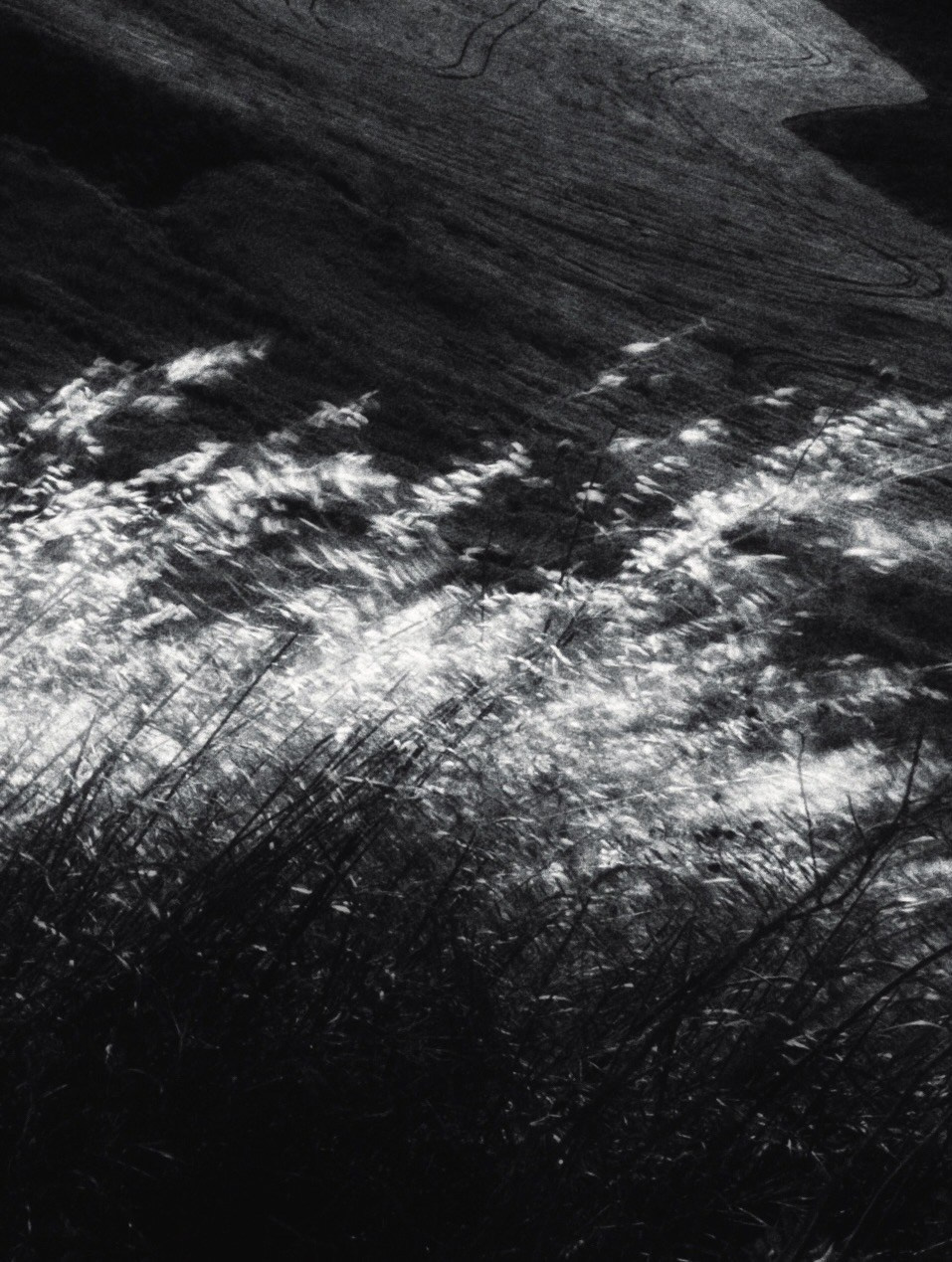 Marina Kálcheva — Photographer & Visual Artist in Barcelona