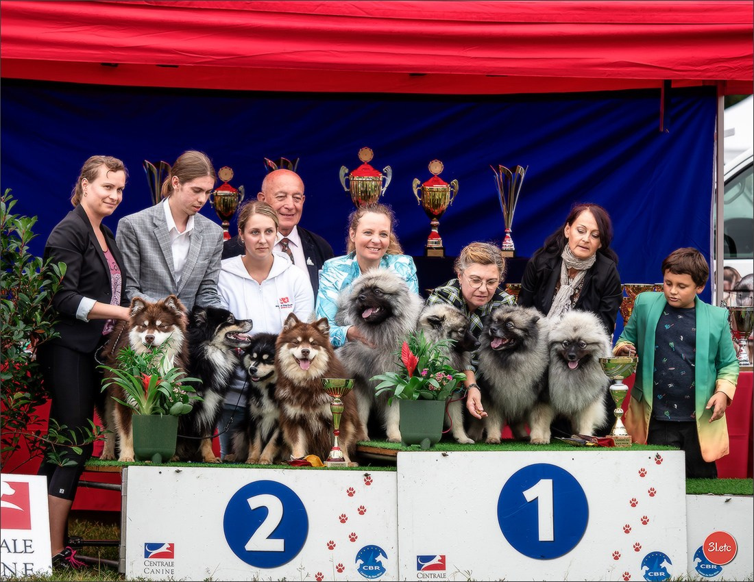 Exposition Canine à STRASBOURG-HOERDT Dimanche 18 août 2024. Photographe à Strasbourg | Portraits, Studio, Enfants, Événements