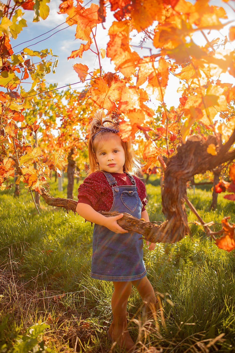 🍁 TOP Locations für Herbstshootings in Heilbronn 🍁. Professionelle Fotografin Daria Kurchenko - Bad Rappenau, Heilbronn