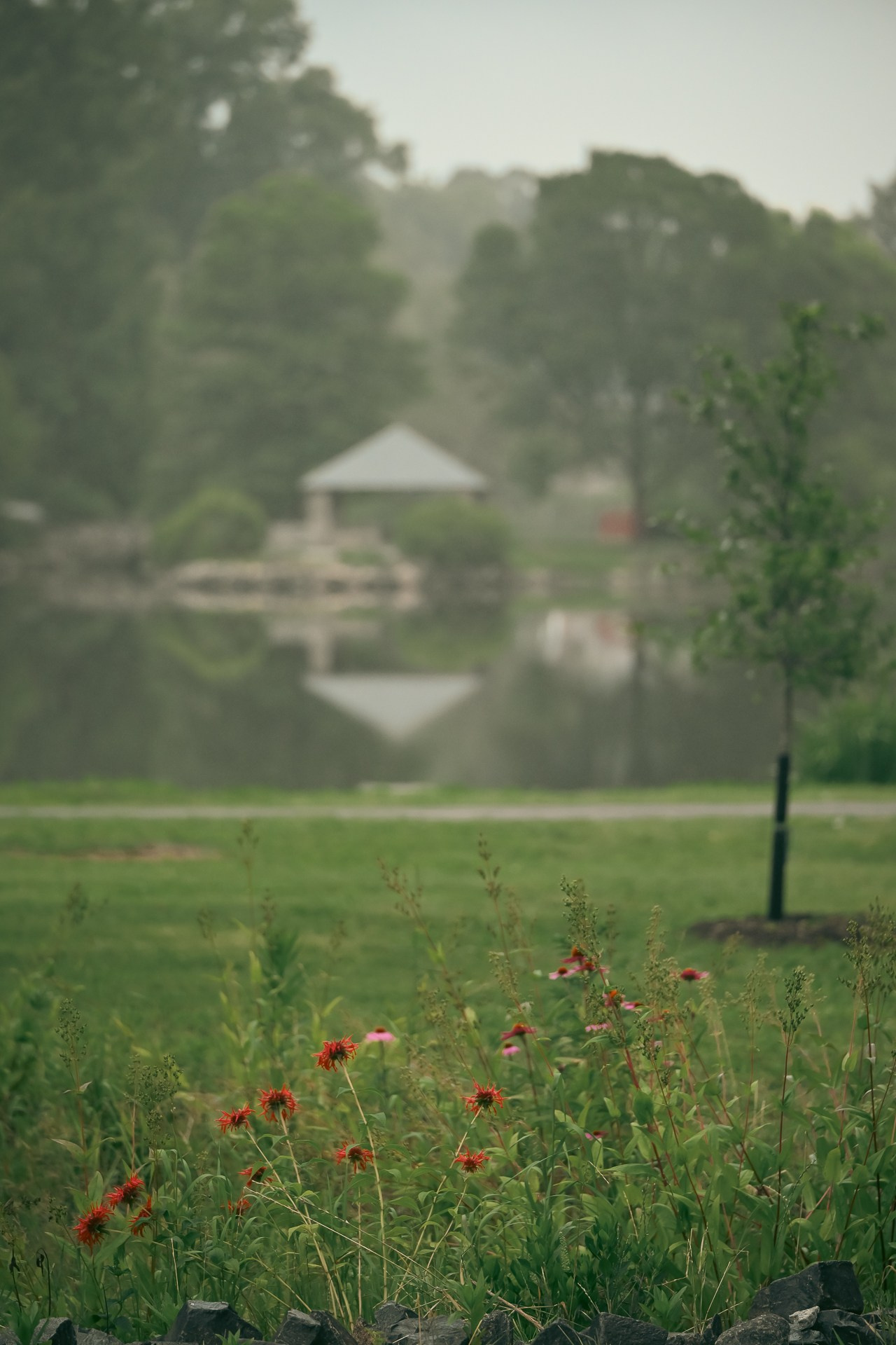 Crayola roots of Binney Park