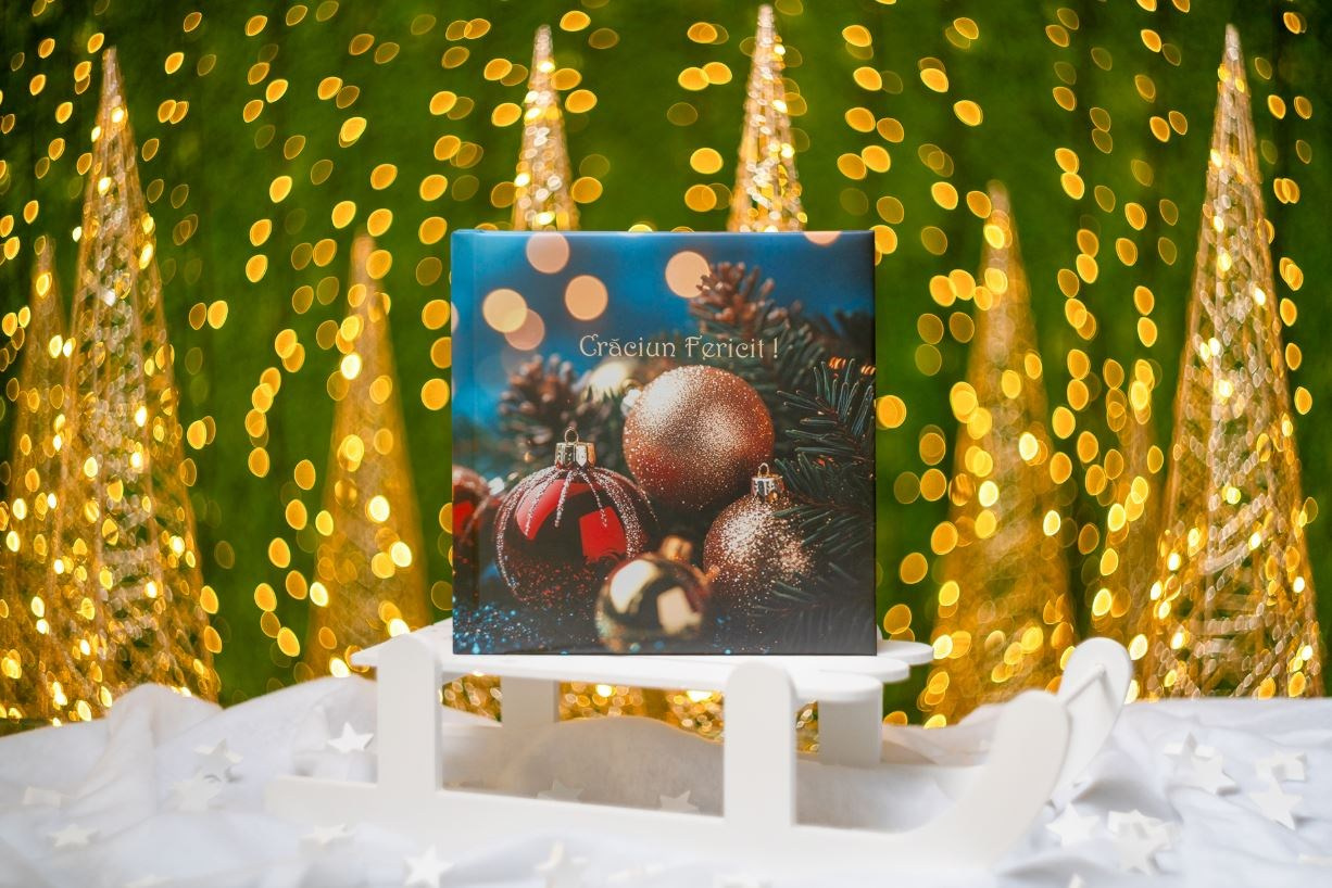 Preturi sedinte foto. Cuibul foto