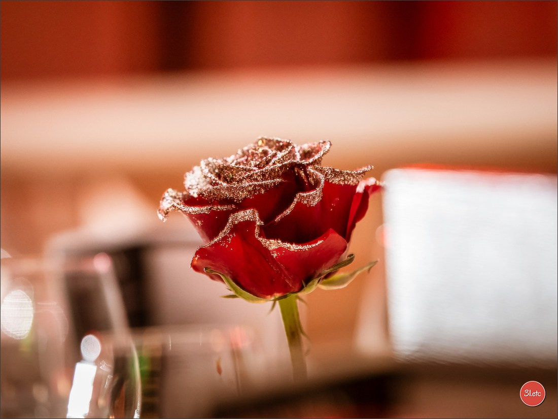 Photographie publicitaire. Photographe à Strasbourg | Portraits, Studio, Enfants, Événements