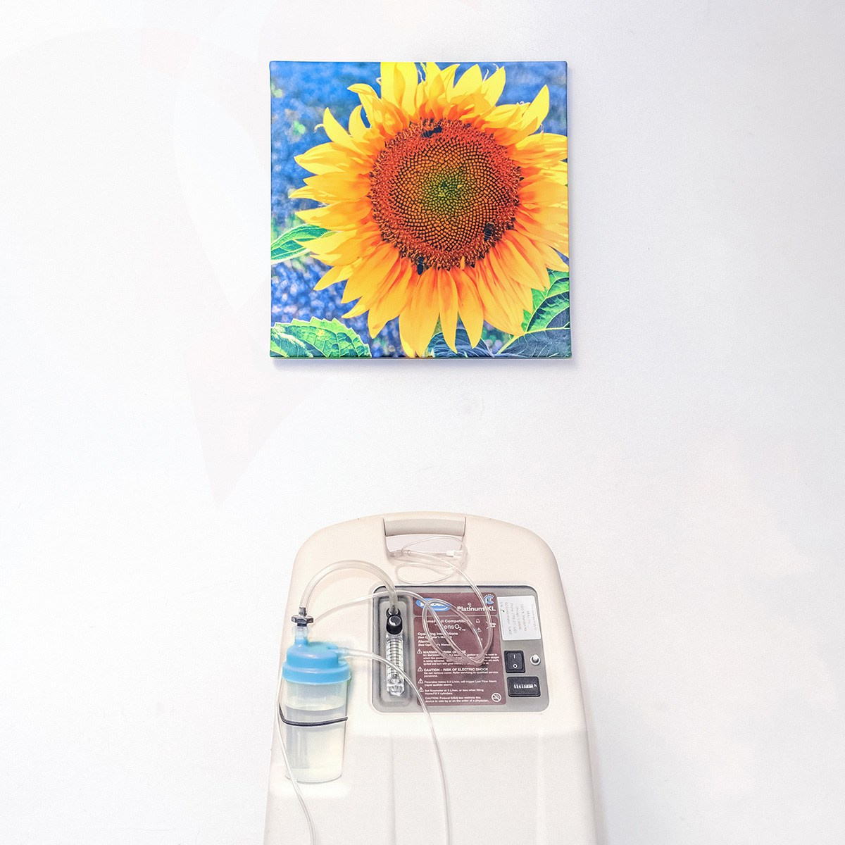 Project 1000 Places to see before you die…. Helen McLain Photography