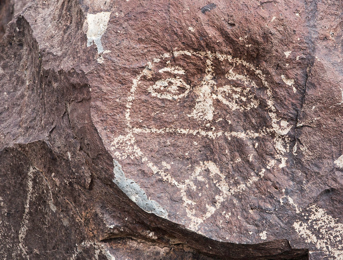 The Best of New Mexico. Pet, Senior, Landscape, portrait studio, photographer in Miami and Sou