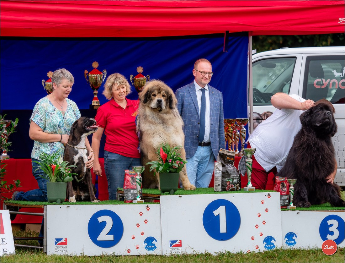 Exposition Canine à STRASBOURG-HOERDT Dimanche 18 août 2024. Photographe à Strasbourg | Portraits, Studio, Enfants, Événements