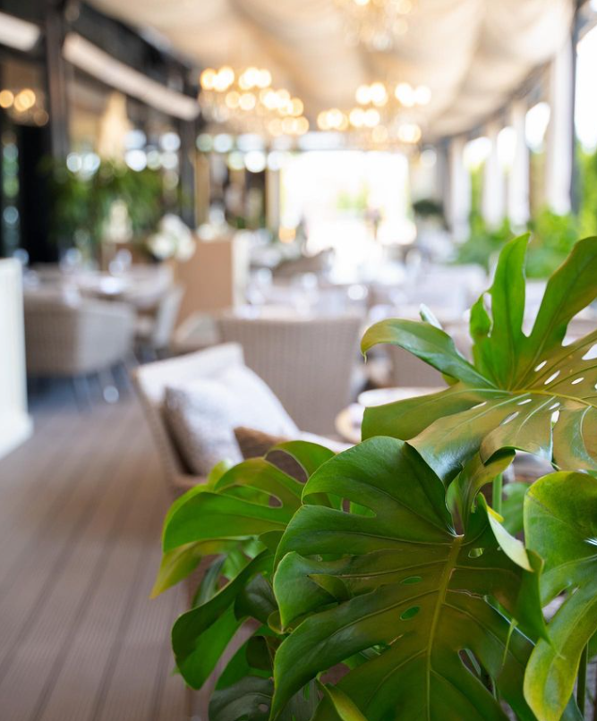 Рестораны Батуми. Главная