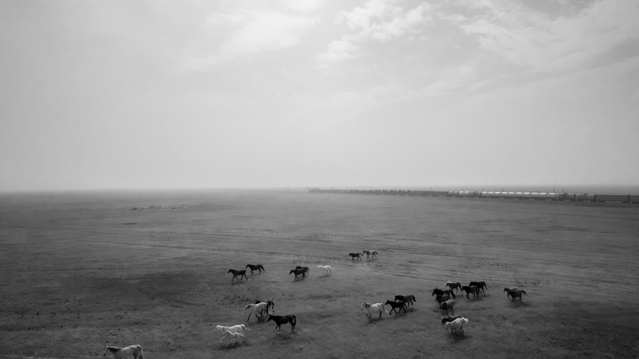 ЖД. Grigoriy Yaroshenko photography | Фотограф Григорий Ярошенко