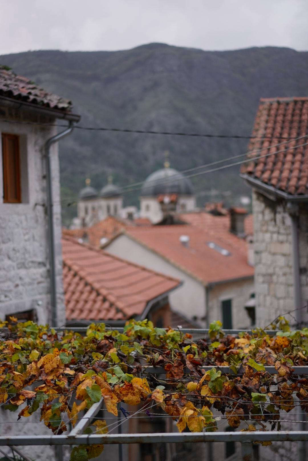 Otkrijte najbolje od Kotora: obavezna videti mesta i aktivnosti