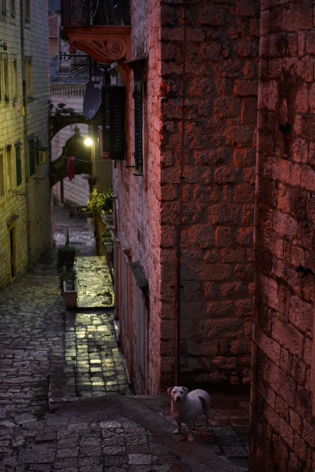 Otkrijte najbolje od Kotora: obavezna videti mesta i aktivnosti