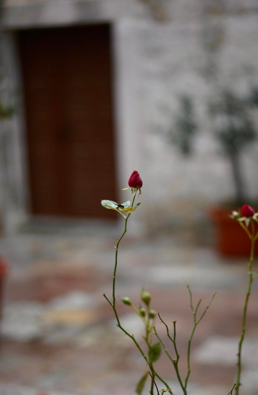 Otkrijte najbolje od Kotora: obavezna videti mesta i aktivnosti