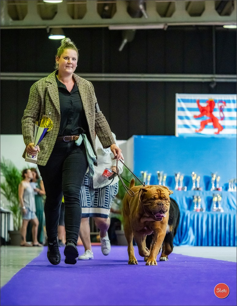 🇱🇺 LUXEMBOURG 🇱🇺 International Dog Show 🇱🇺 31/08 - 01/09/2024. Photographe à Strasbourg | Portraits, Studio, Enfants, Événements
