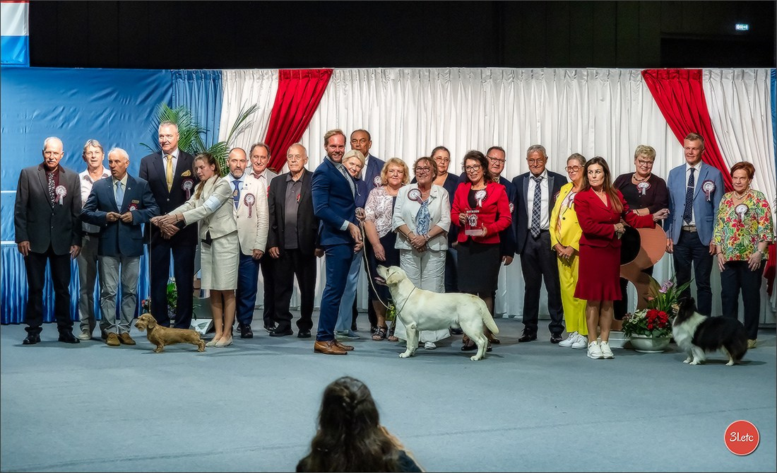 🇱🇺 LUXEMBOURG 🇱🇺 International Dog Show 🇱🇺 31/08 - 01/09/2024. Photographe à Strasbourg | Portraits, Studio, Enfants, Événements