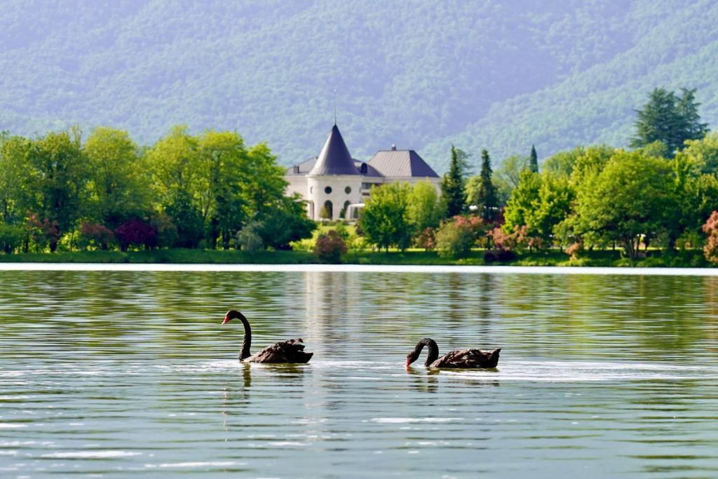 Lopota Lake Resort & Spa. Главная
