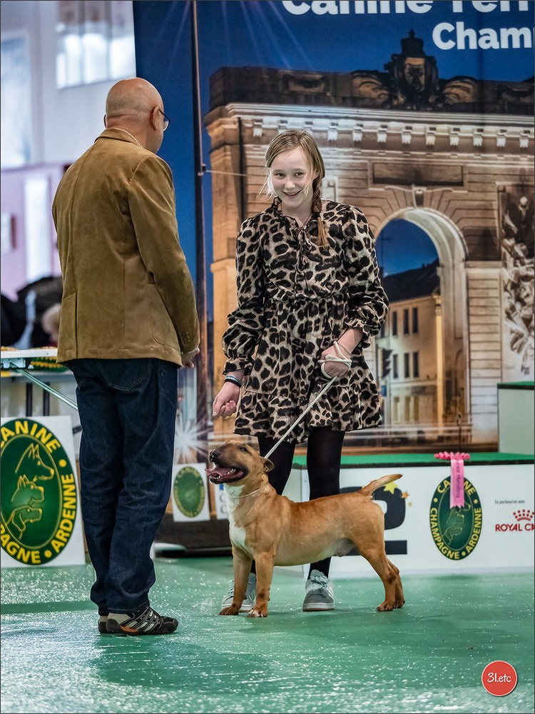 Expo canine 🇫🇷 Châlons-en-Champagne 22-23/02/2025. Photographe à Strasbourg | Portraits, Studio, Enfants, Événements
