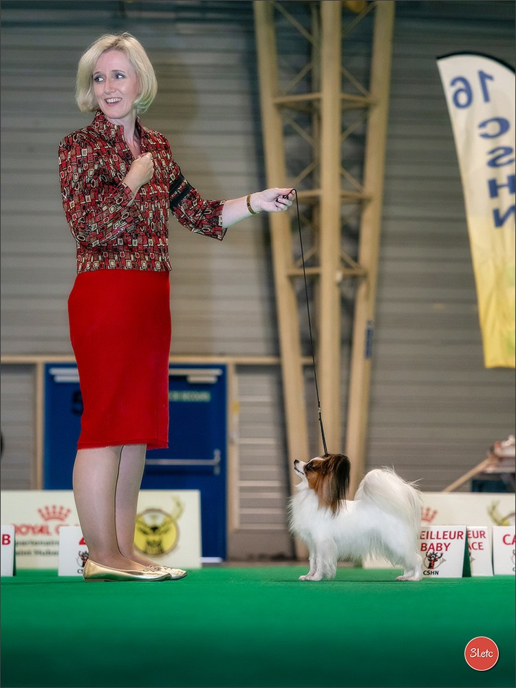 Exposition Canine Internationale à DOUAI. Photographe à Strasbourg | Portraits, Studio, Enfants, Événements