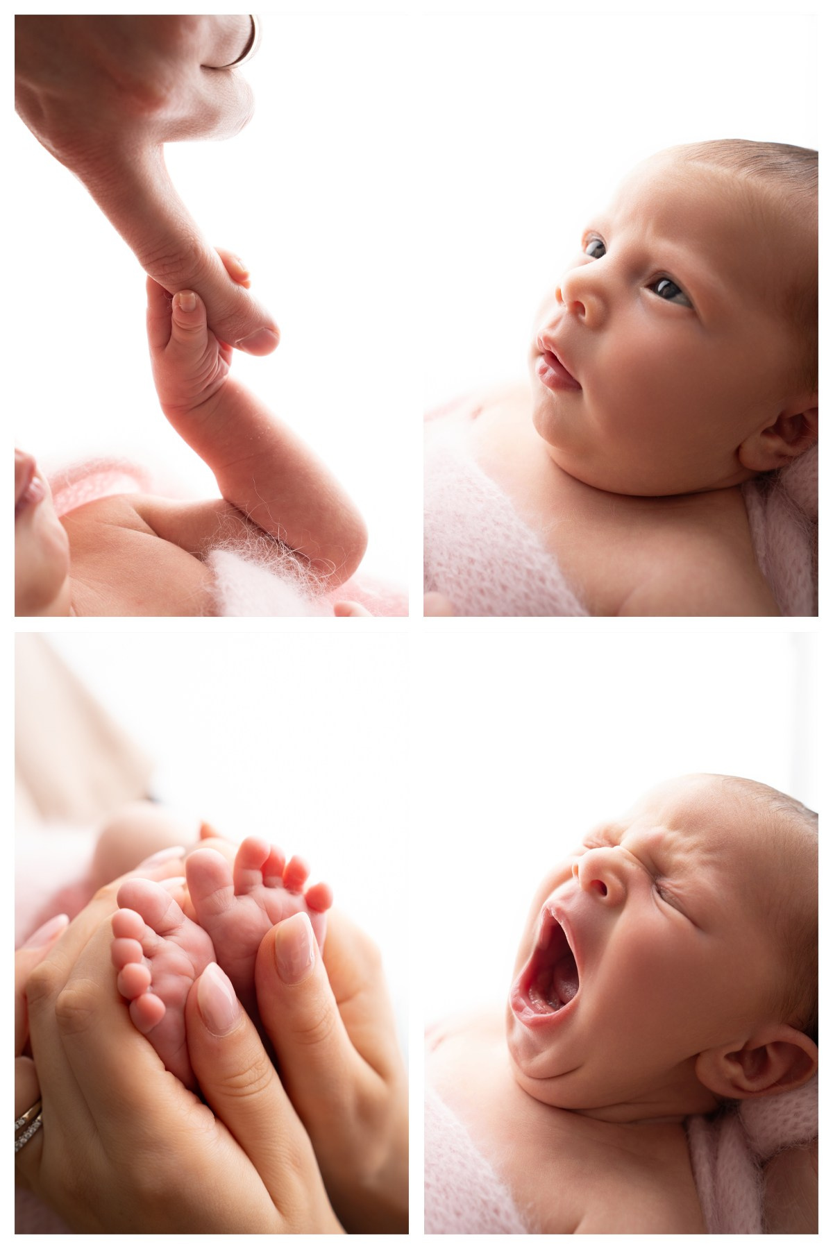 Posed Newborn. Maternity, family and newborn photography in San Francisco Bay Area