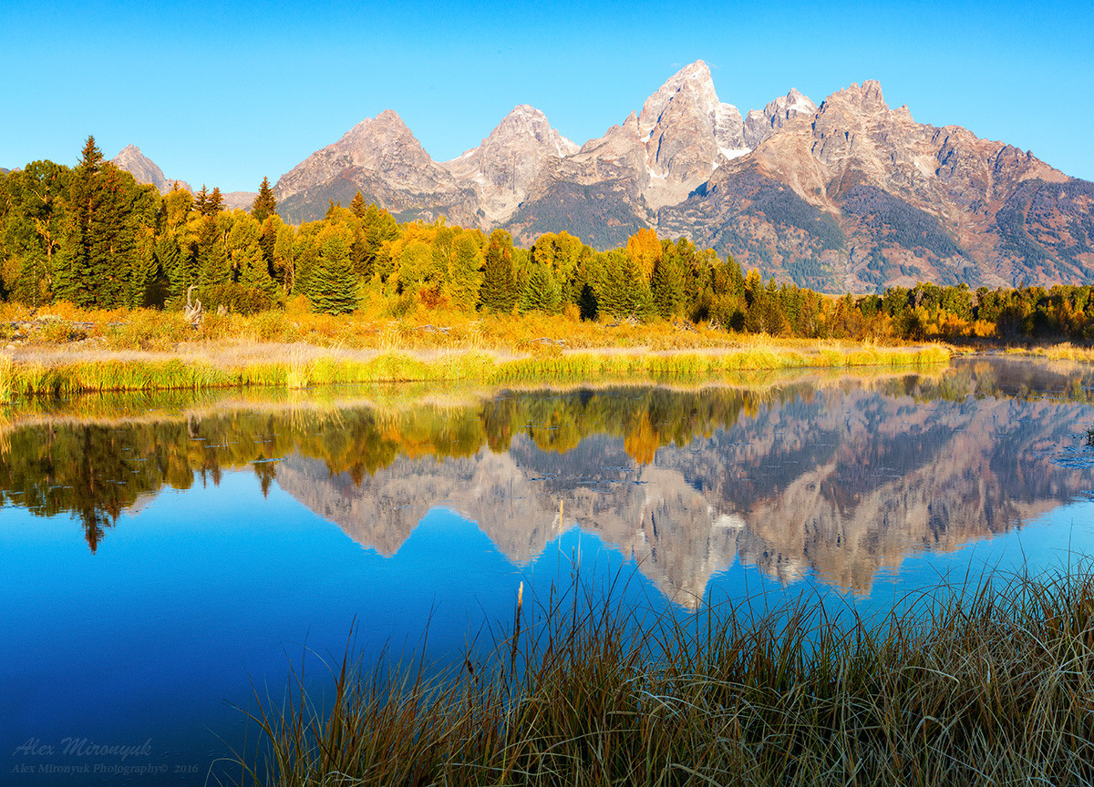 Yellowstone & Grand Teton. Pet, Senior, Landscape, portrait studio, photographer in Miami and Sou