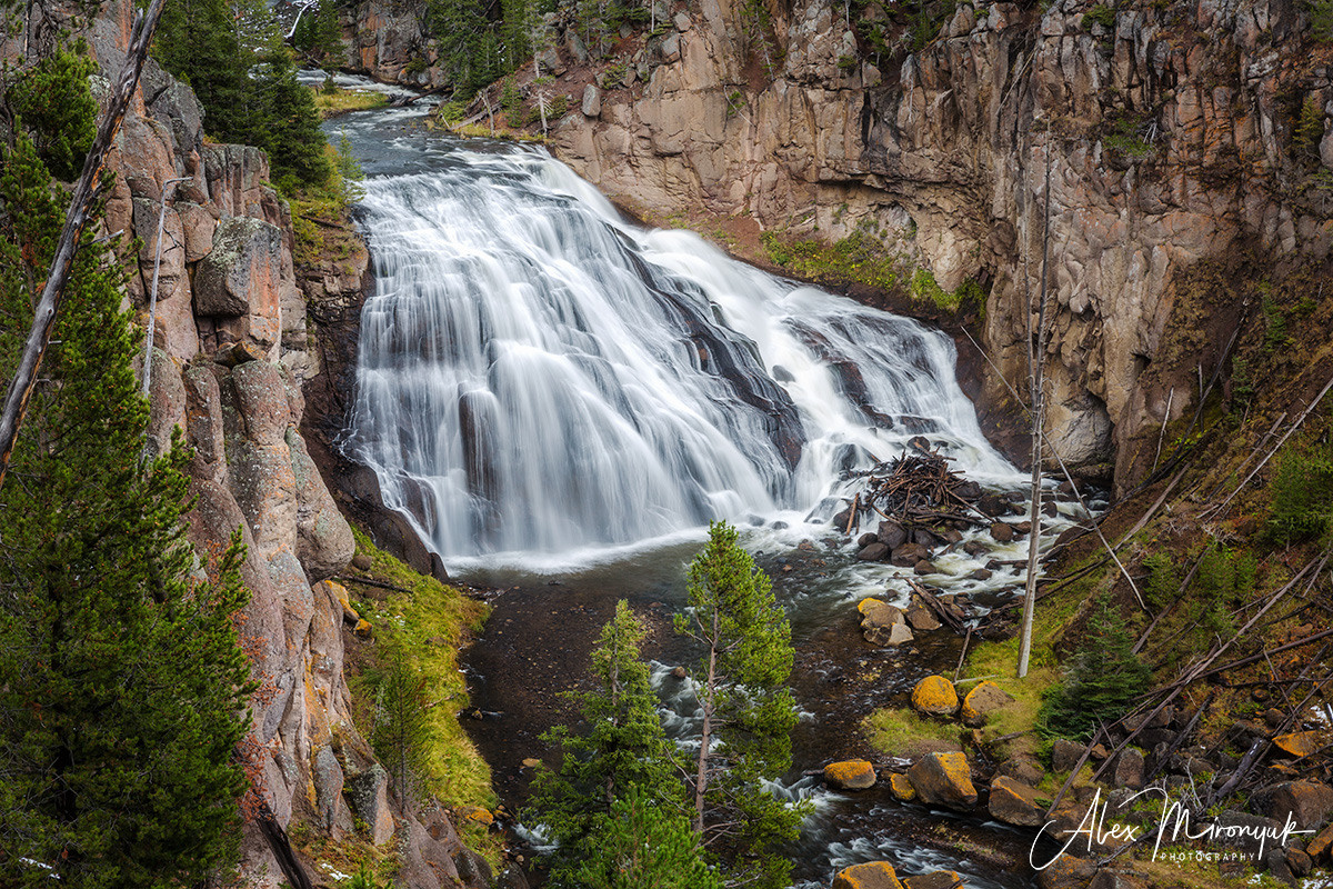 Yellowstone & Grand Teton. Pet, Senior, Landscape, portrait studio, photographer in Miami and Sou