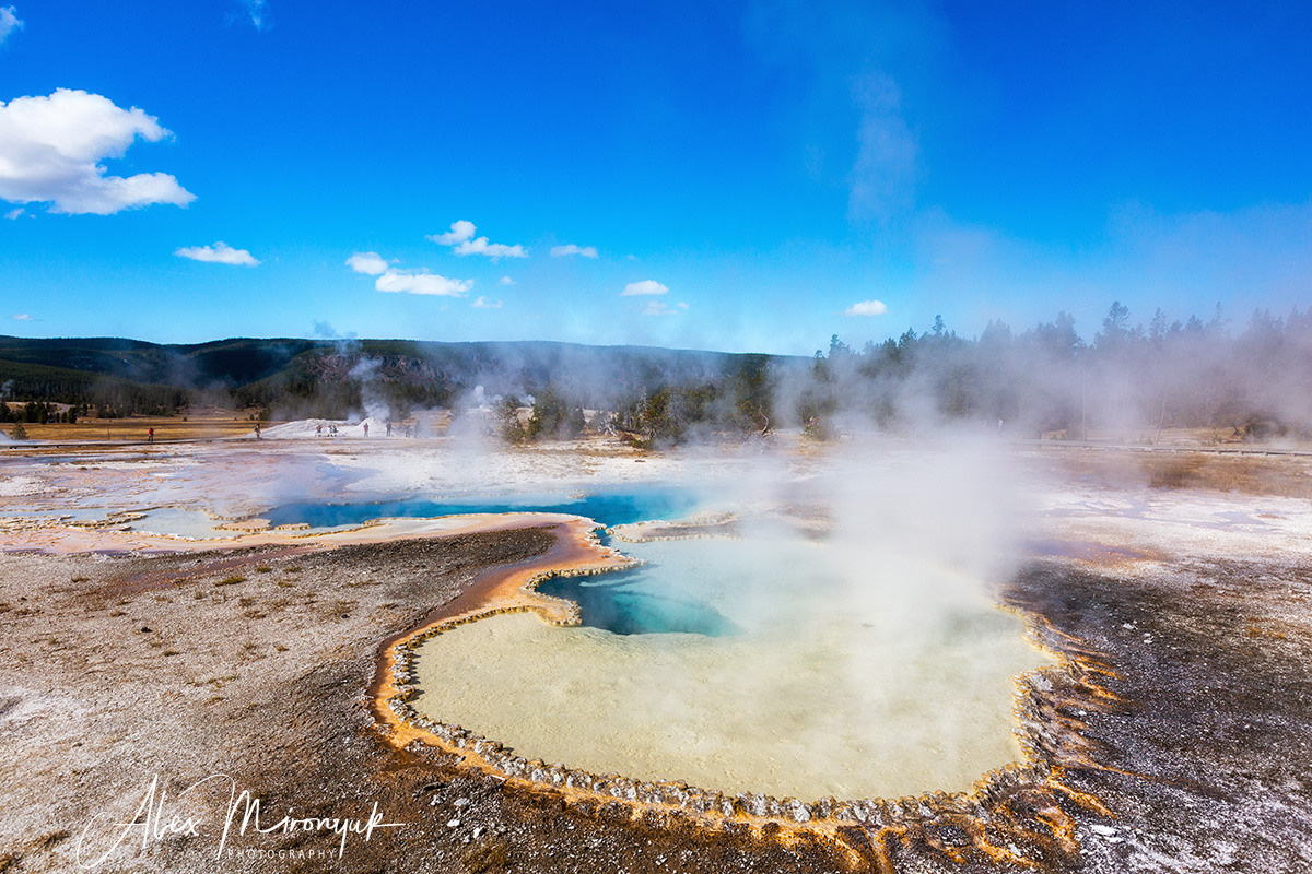 Yellowstone & Grand Teton. Pet, Senior, Landscape, portrait studio, photographer in Miami and Sou
