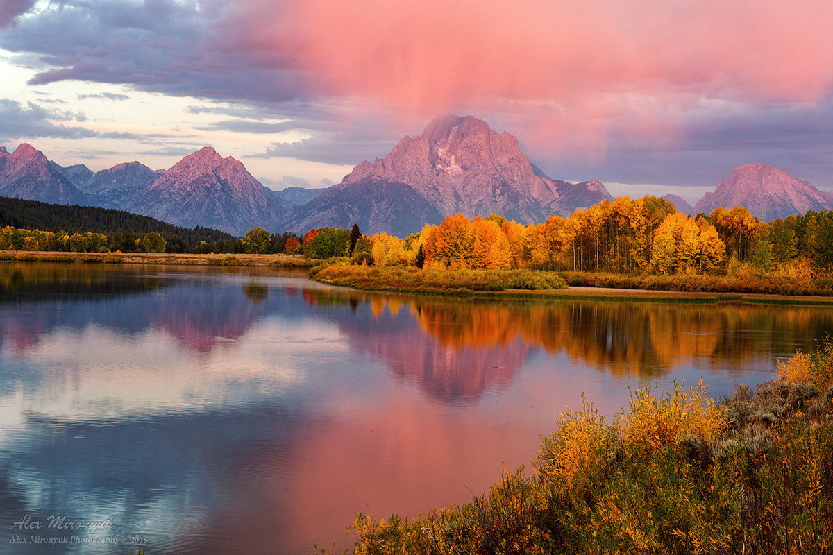 Yellowstone & Grand Teton. Pet, Senior, Landscape, portrait studio, photographer in Miami and Sou