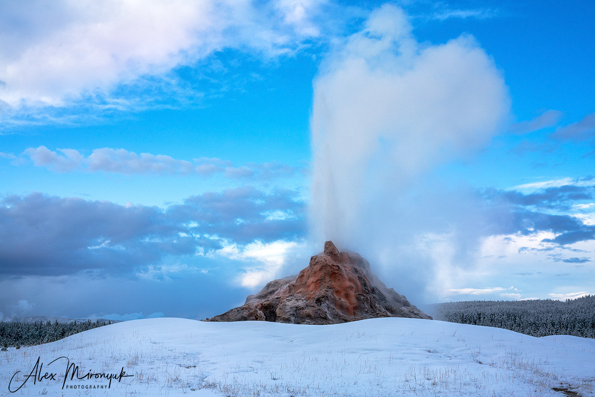 Yellowstone & Grand Teton. Pet, Senior, Landscape, portrait studio, photographer in Miami and Sou