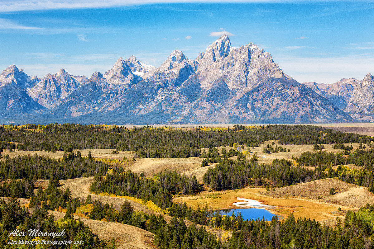 Yellowstone & Grand Teton. Pet, Senior, Landscape, portrait studio, photographer in Miami and Sou