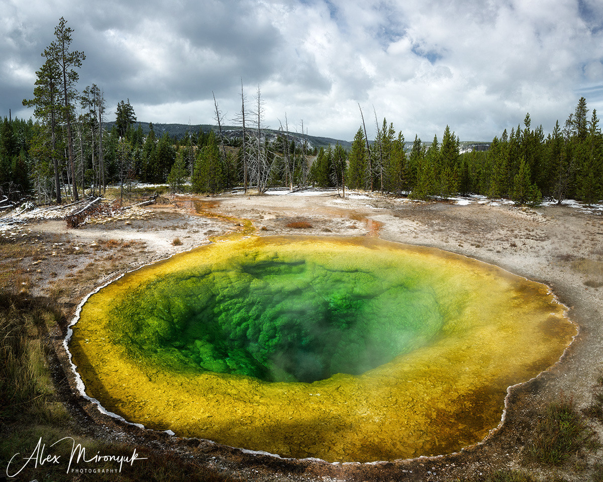 Yellowstone & Grand Teton. Pet, Senior, Landscape, portrait studio, photographer in Miami and Sou