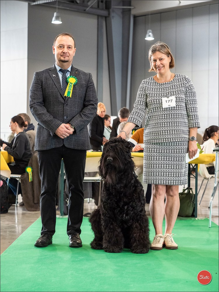 Expo canine 🇫🇷 Châlons-en-Champagne 22-23/02/2025. Photographe à Strasbourg | Portraits, Studio, Enfants, Événements