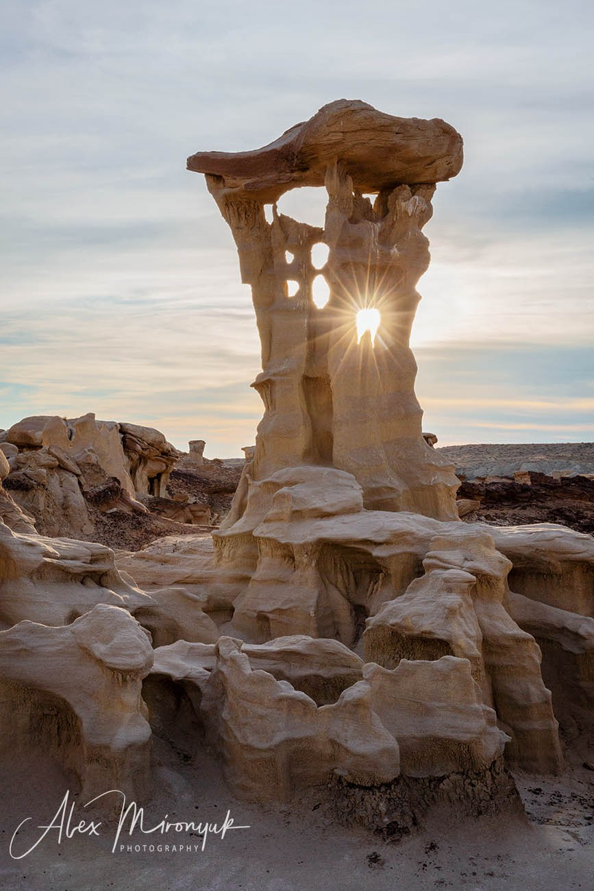 The Best of New Mexico. Pet, Senior, Landscape, portrait studio, photographer in Miami and Sou