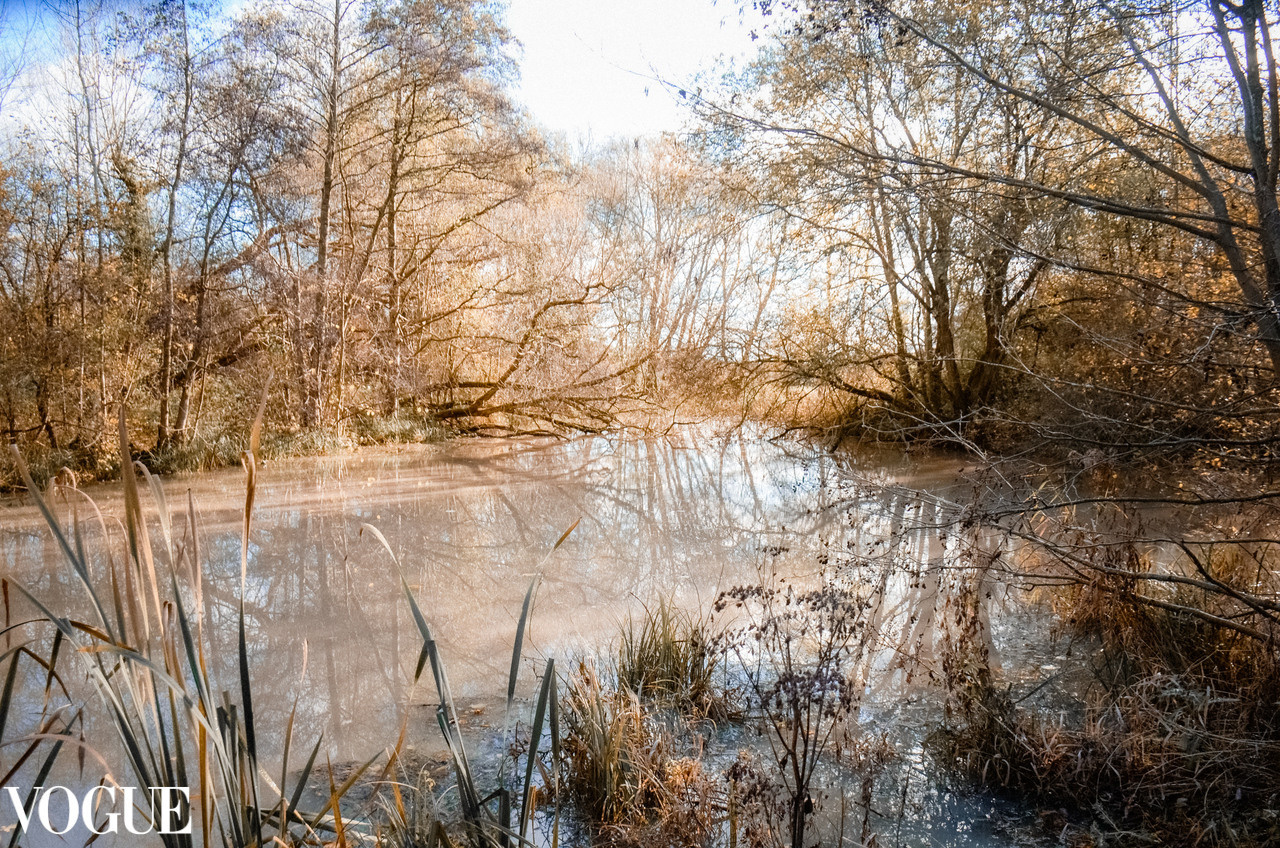 March Lane Lake Photography by Irina Zoteeva. Nature connection photographer Solihull