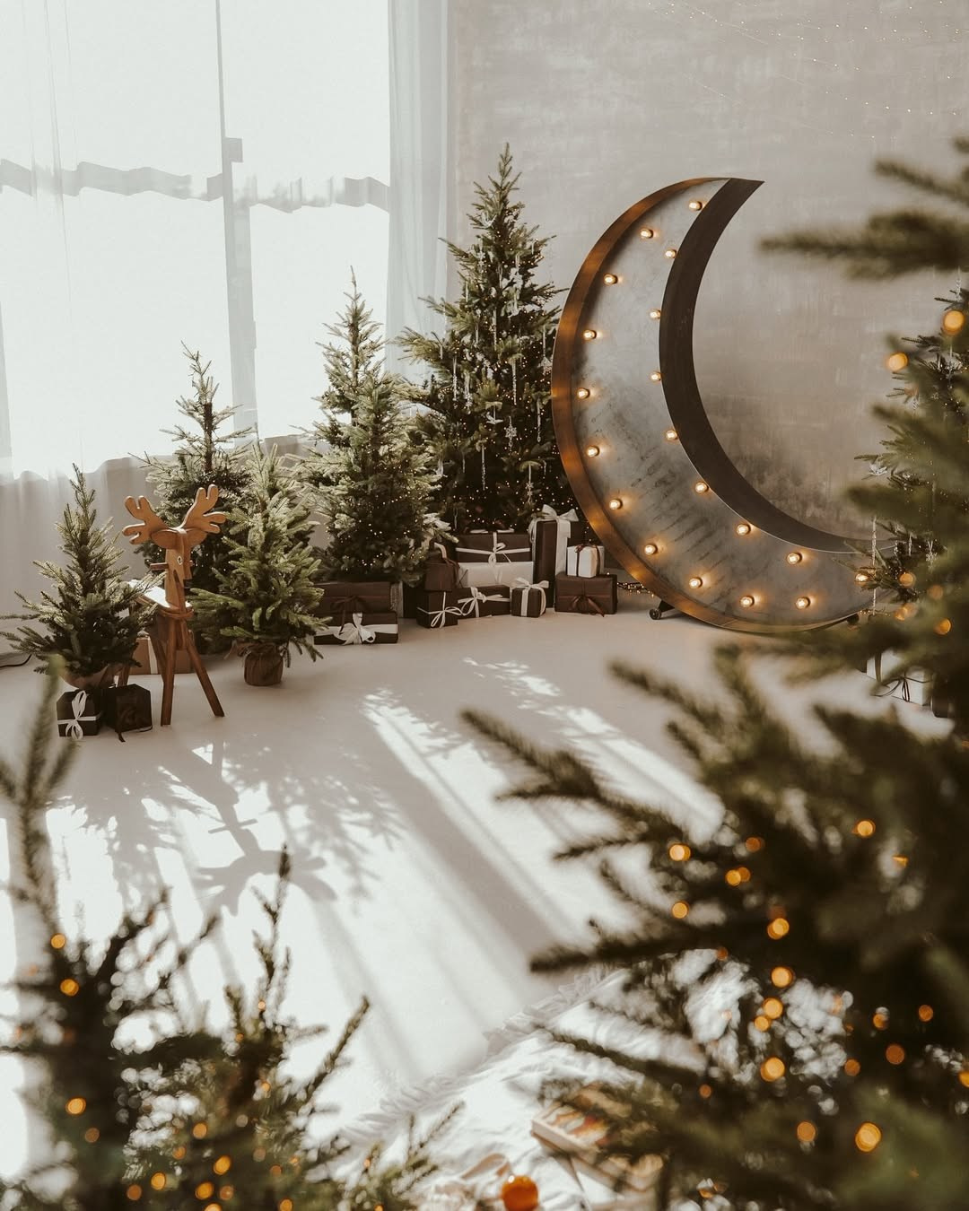 Студії новорічні. Весільний, сімейний фотограф Варшава