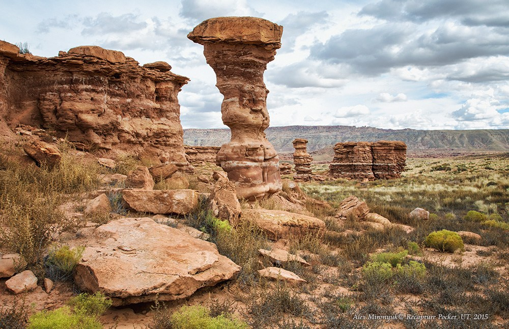 Eagle’s View American Southwest. Pet, Senior, Landscape, portrait studio, photographer in Miami and Sou