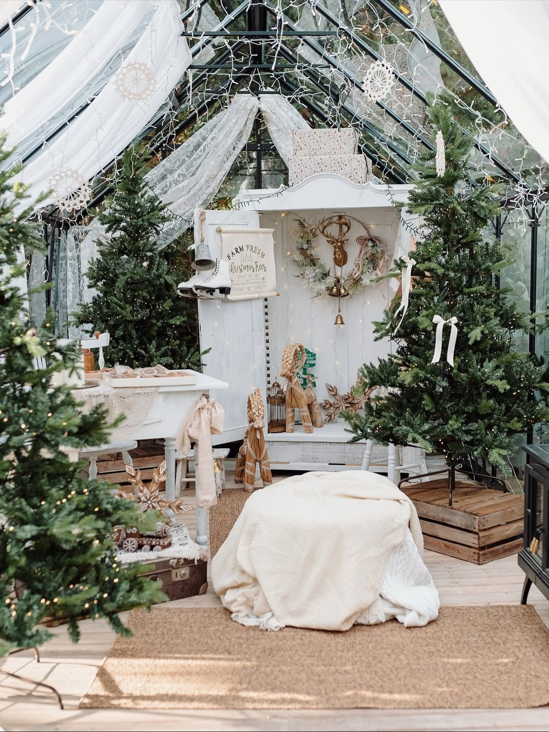 Студії новорічні. Весільний, сімейний фотограф Варшава