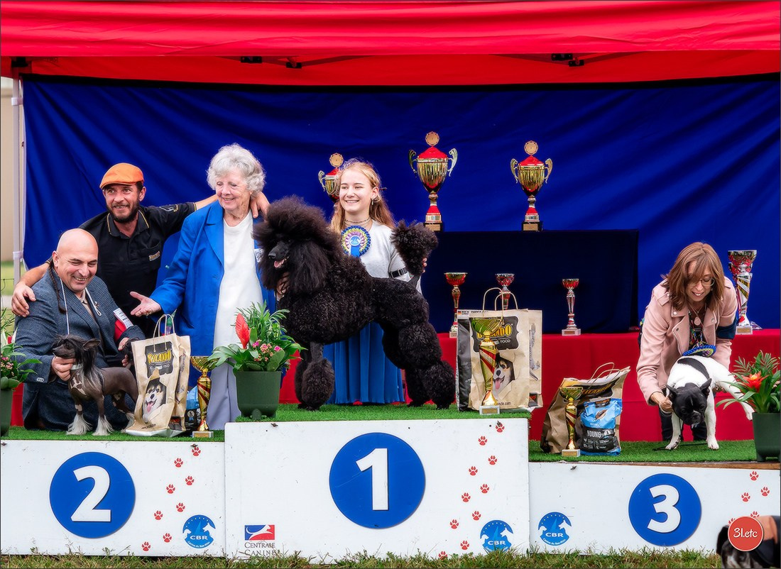 Exposition Canine à STRASBOURG-HOERDT Dimanche 18 août 2024. Photographe à Strasbourg | Portraits, Studio, Enfants, Événements