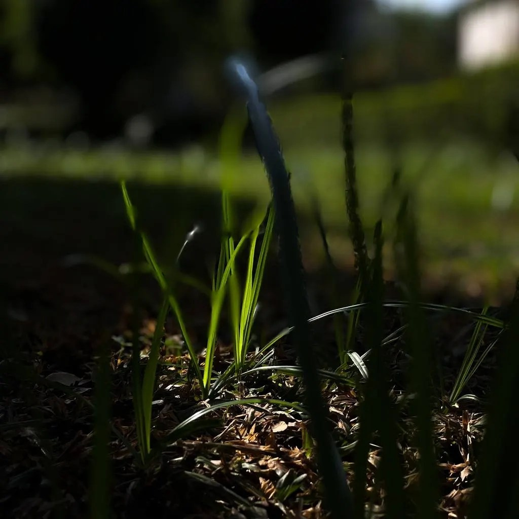 Сайт Ольги Беренштейн. Визуальный брендинг