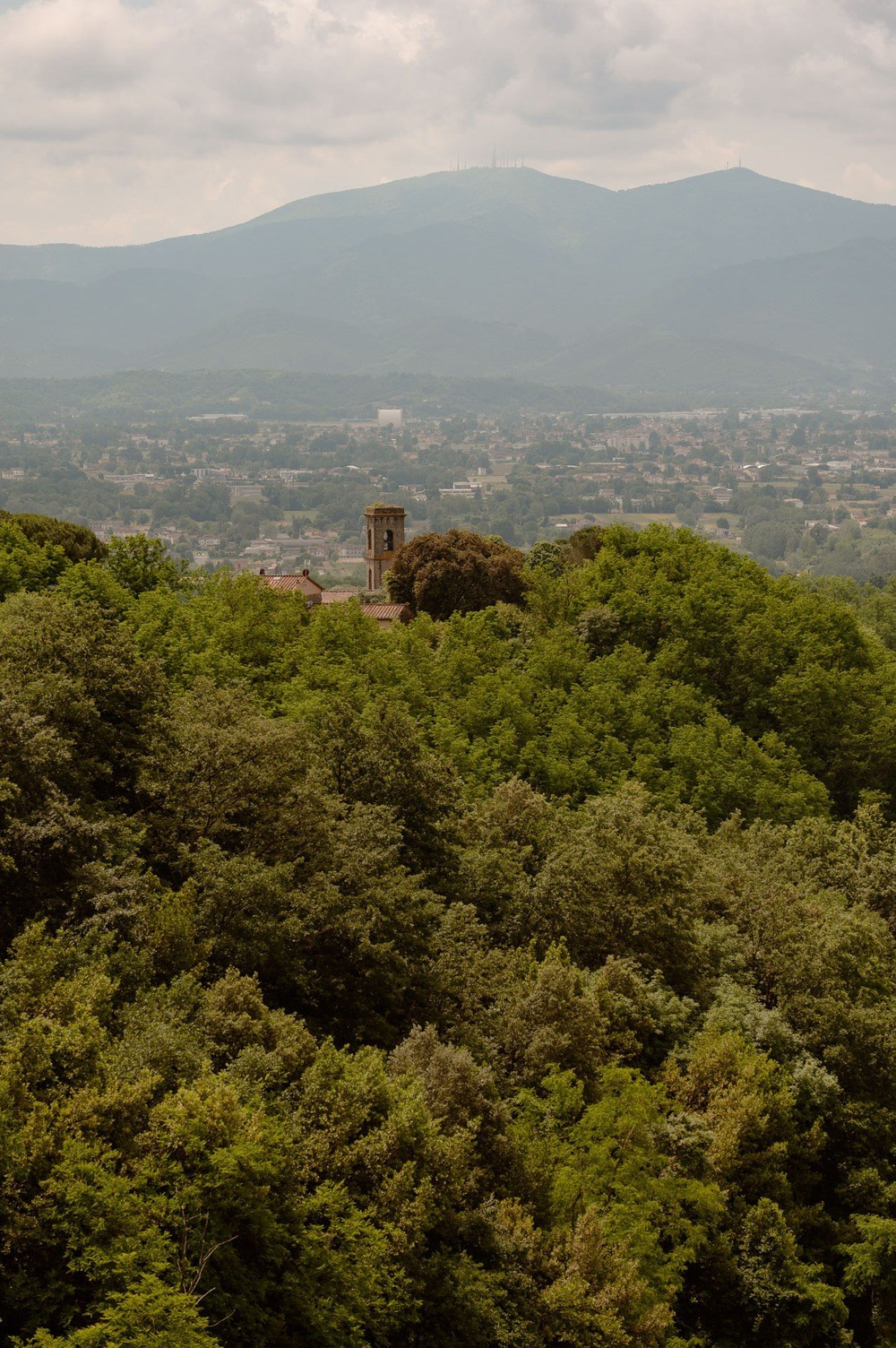 Wedding photography at Fattoria Mansi Bernardini, Lucca. Bella Vita Weddings — Wedding Photography in Dubai & Destination