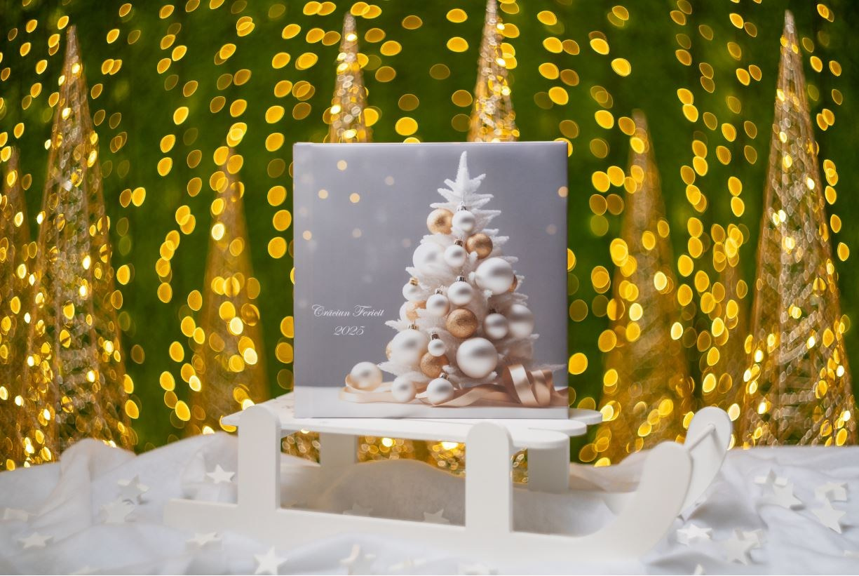 Preturi sedinte foto. Cuibul foto