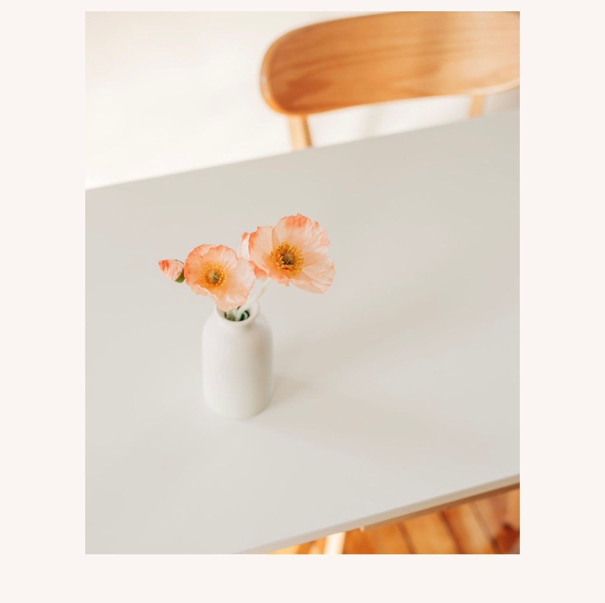 Studio photoshoot. Kitchener Waterloo Cambridge Photographer — Olga Ro