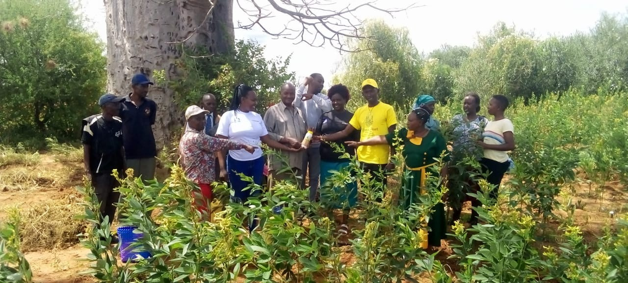 Grow Peat Organic Farming Training Crops and Sustainable Agriculture. Boost Plant Growth with Organic Fertilizers: Our Effective Solution