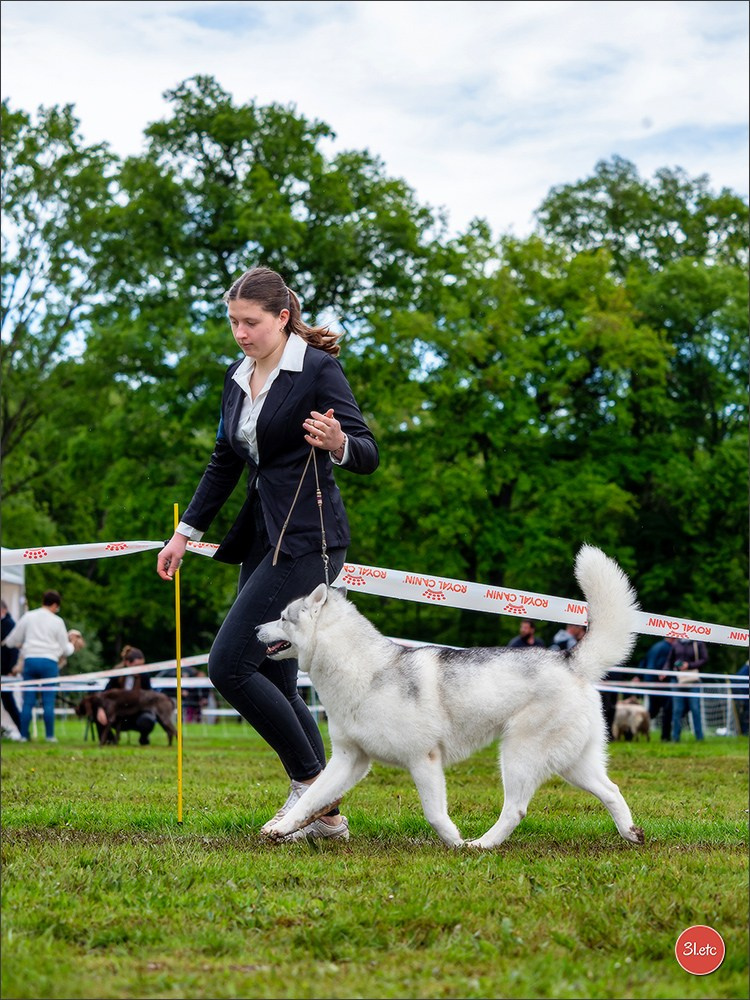 Exposition Canine Nationale  05/05/2024  CHALON-SUR-SAÔNE (Saône-et-Lo. Photographe à Strasbourg | Portraits, Studio, Enfants, Événements
