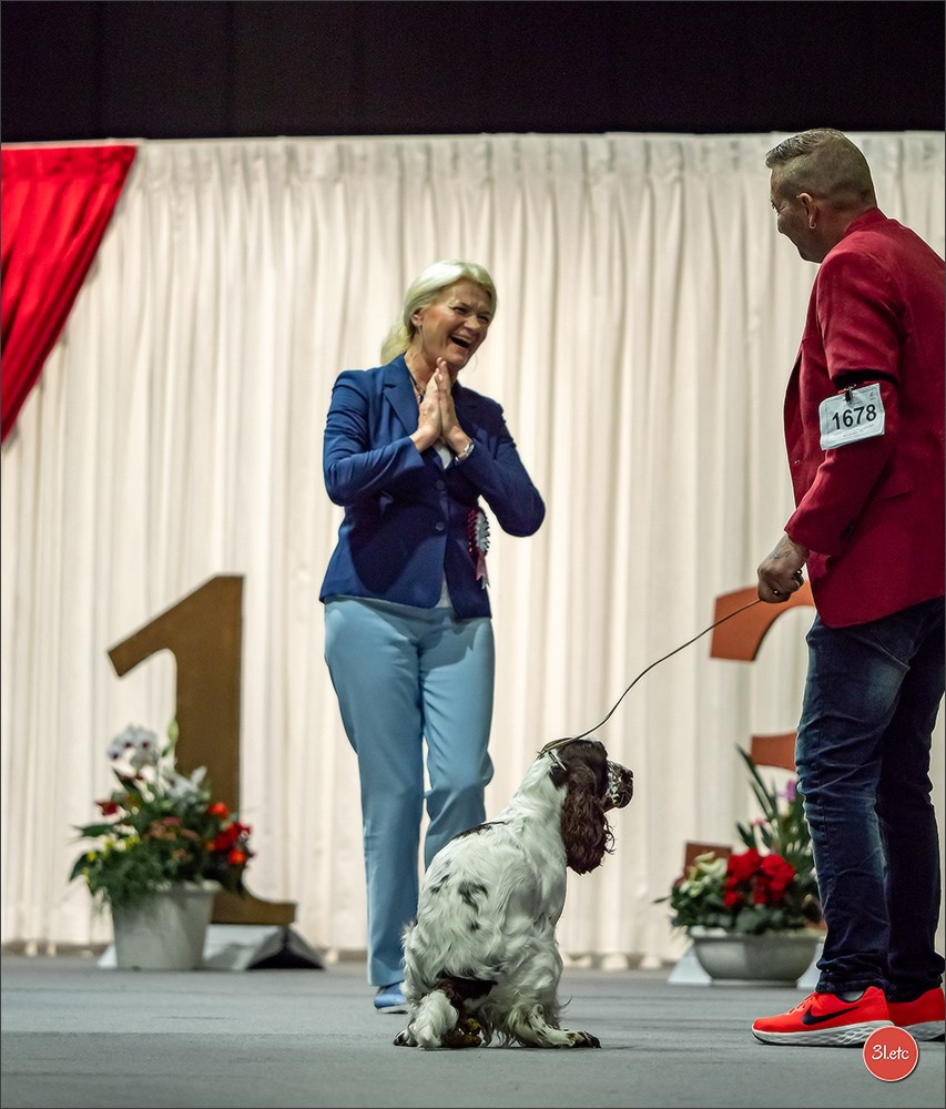 🇱🇺 LUXEMBOURG 🇱🇺 International Dog Show 🇱🇺 31/08 - 01/09/2024. Photographe à Strasbourg | Portraits, Studio, Enfants, Événements