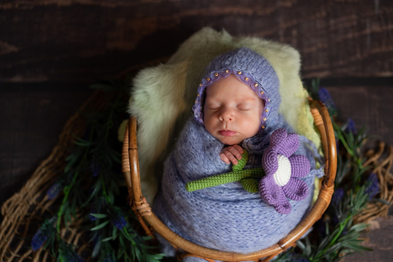 Sedinte foto nou-nascut. Cuibul foto