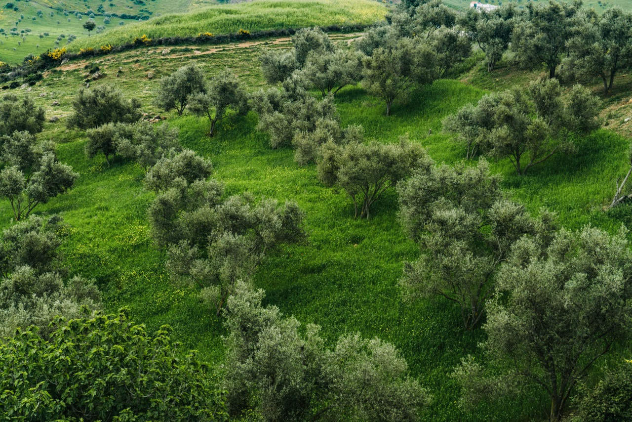 Morocco | Anastasiia Nelen photographer
