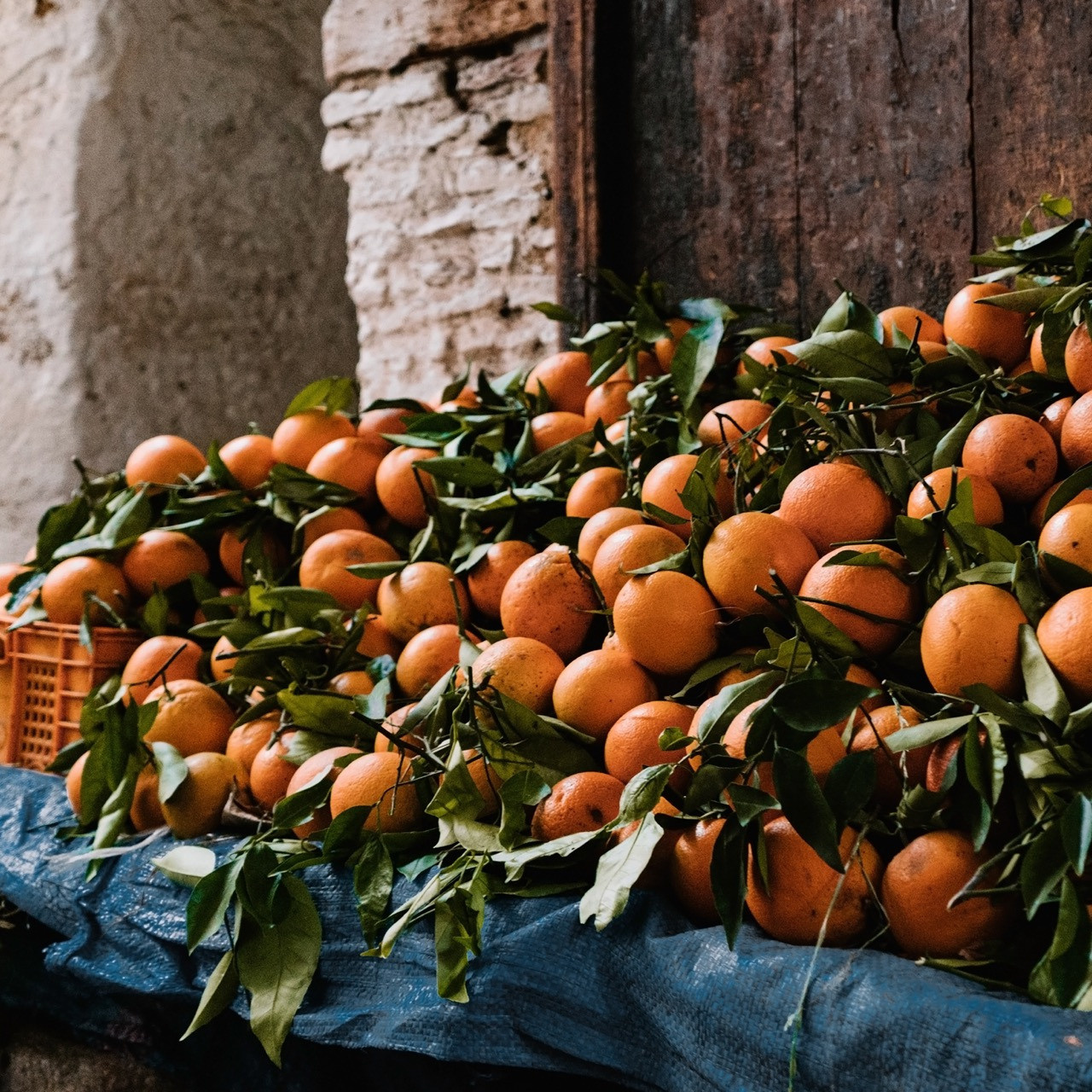 Morocco | Anastasiia Nelen photographer
