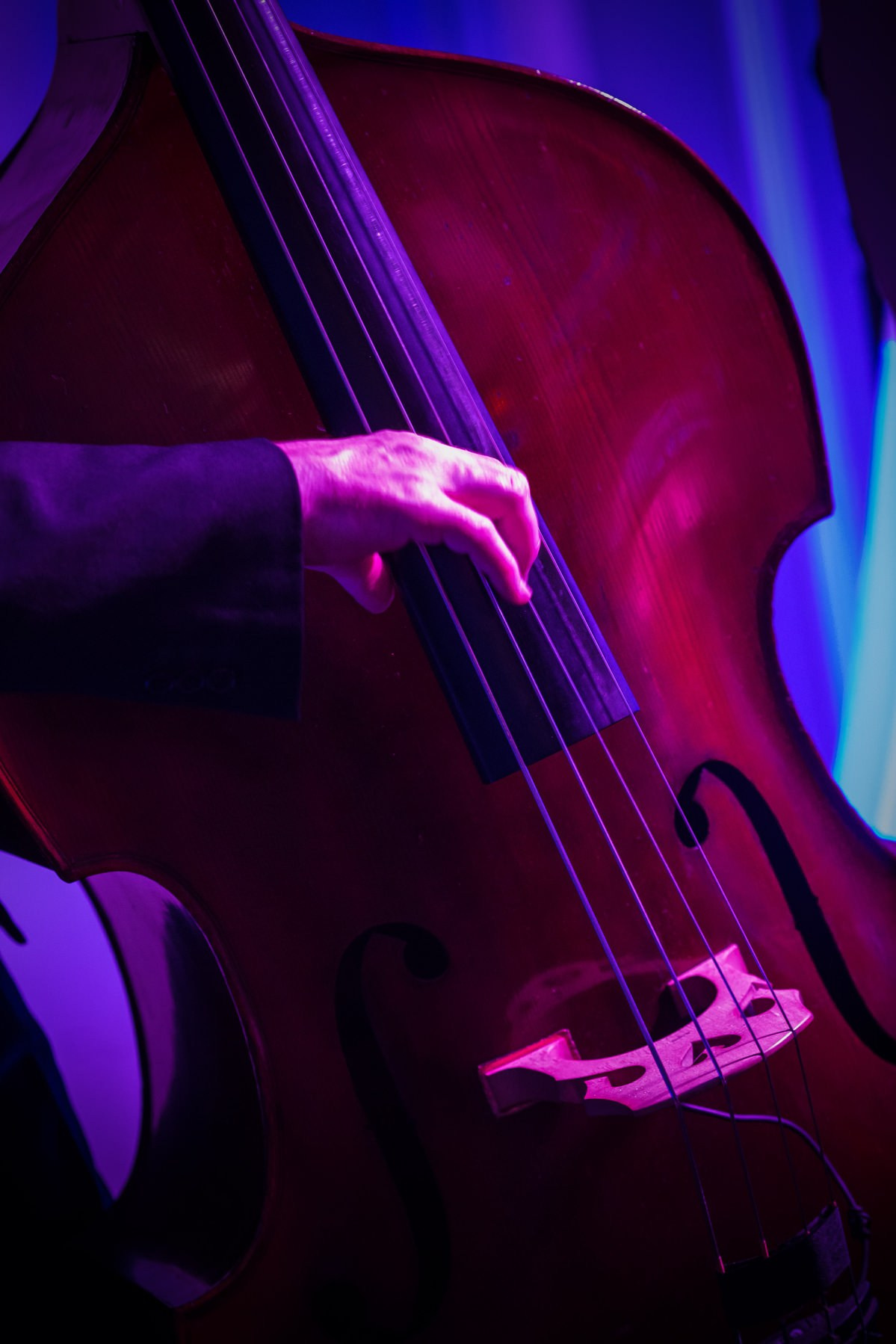 Close-up bass player strings jazz band wedding reception Prague