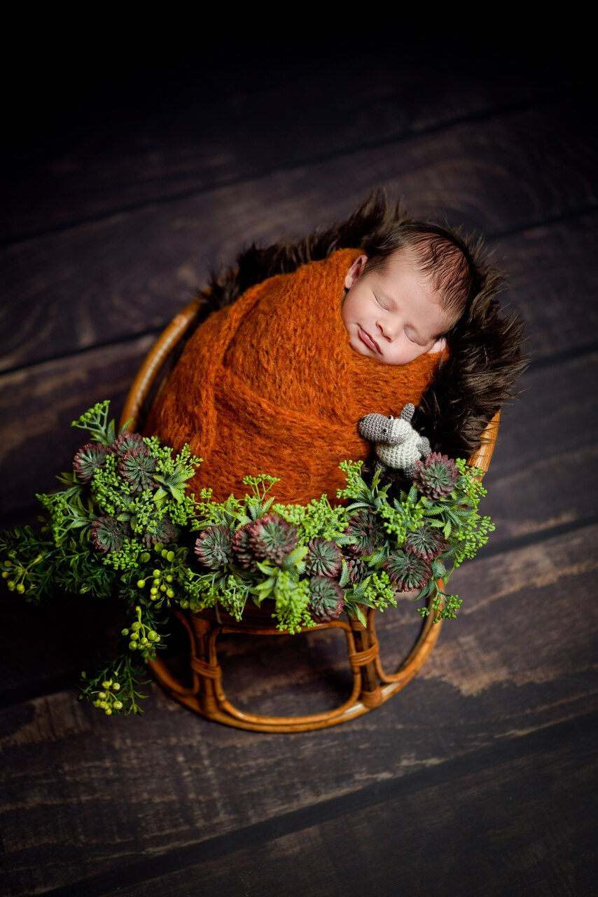 Sedinte foto nou-nascut. Cuibul foto