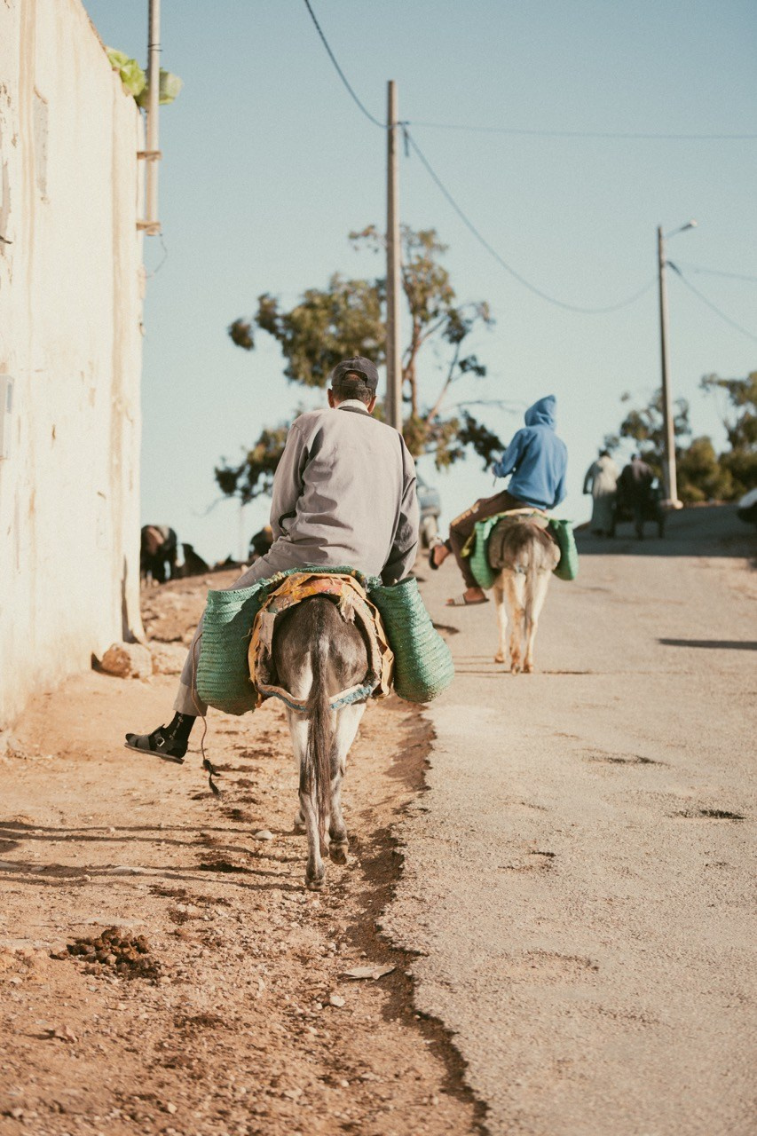 Travel and lifestyle fotografka. Dana Lišková — Empatická fotografka | Introspektivní umělkyně | Neurodivergentní koučka| Zakladatelka Artepy.cz