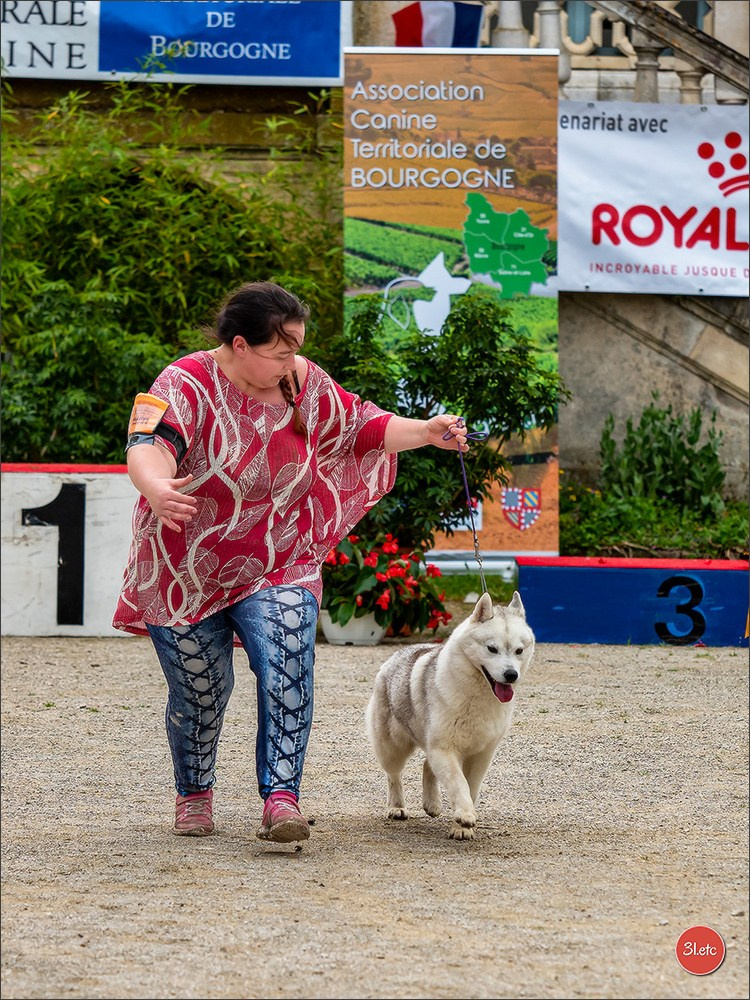 Exposition Canine Nationale  05/05/2024  CHALON-SUR-SAÔNE (Saône-et-Lo. Photographe à Strasbourg | Portraits, Studio, Enfants, Événements