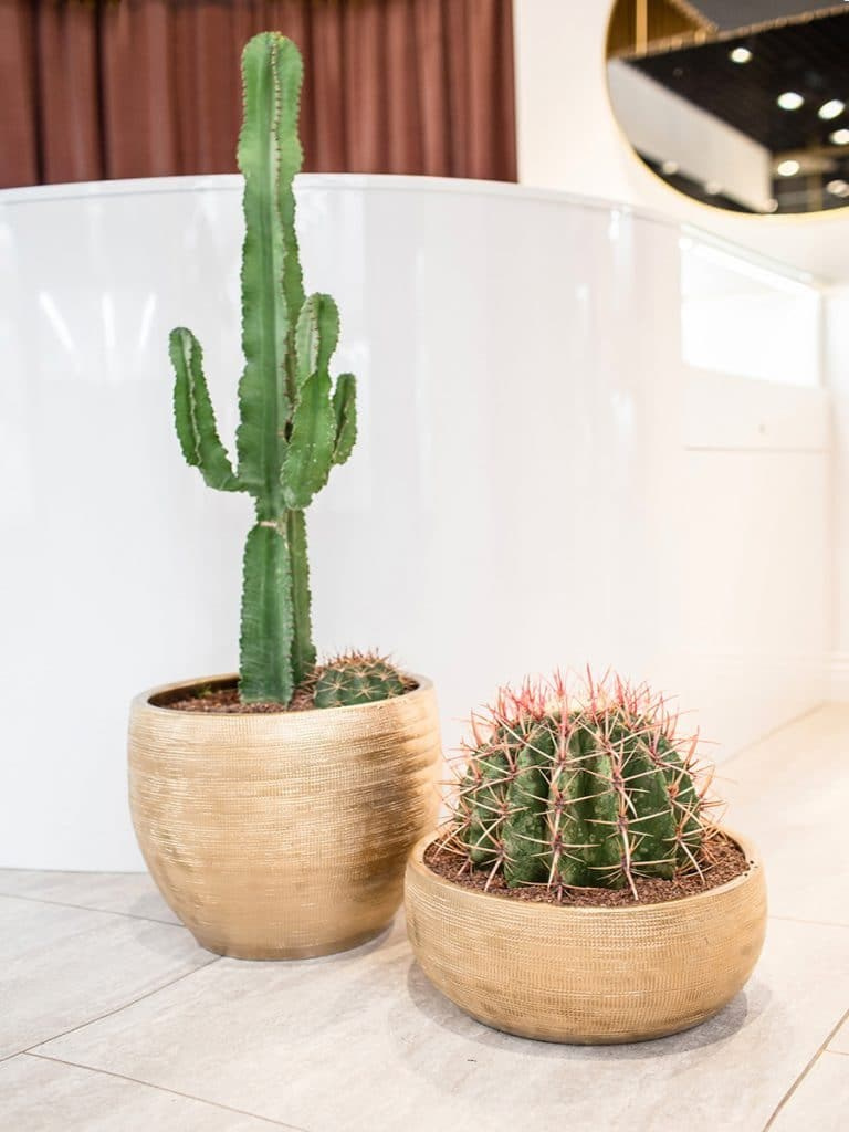 ORO JEWELRY STORE. Дизайн интерьера и 3D-визуализация | AB Design Buro